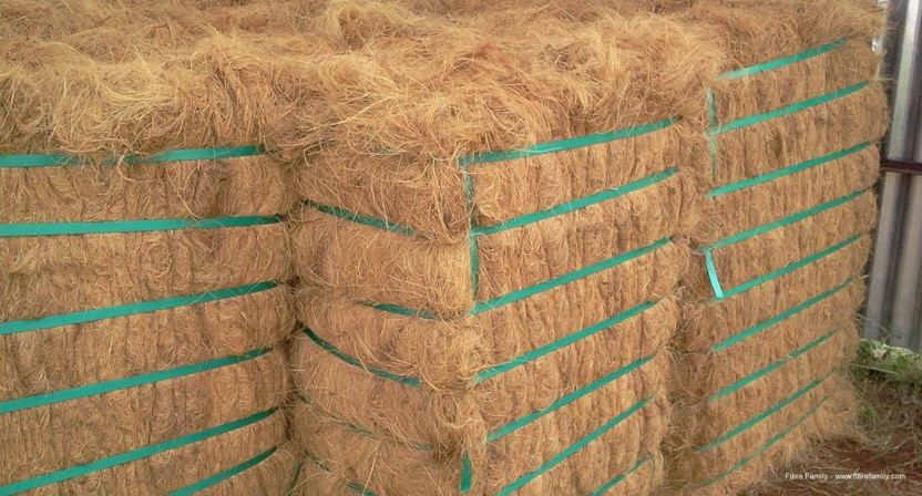 Coir Fiber